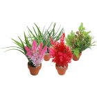 Sydeco Kunstplant in Pot -12 cm  