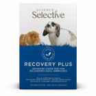 Supreme Recovery Plus Sachets -10x20gr