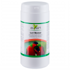 Aves Lori Nectar -1 kg 