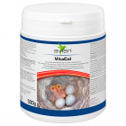 Avian VitaCal -500 gram