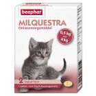 Beaphar Milquestra Kleine Kat /Kitten 0,5-4 kg - 2 Stuks   