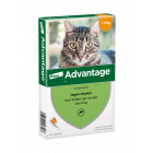 Advantage Kat 40 tot 4 kg - 4 Pipetten