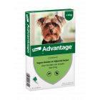 Advantage Hond 40 tot 4 kg 4 - Pipetten