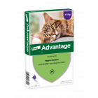 Advantage Kat 80 vanaf 4 kg - 4 Pipetten