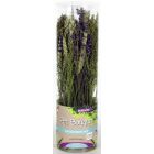 Esve Pet Bouquet Koker Aves minor 