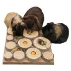 Rosewood Maze-A-Log Treat Challenge - 30x30x5 cm