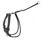 Rogz Utility Stop Pull Tuig XL Black