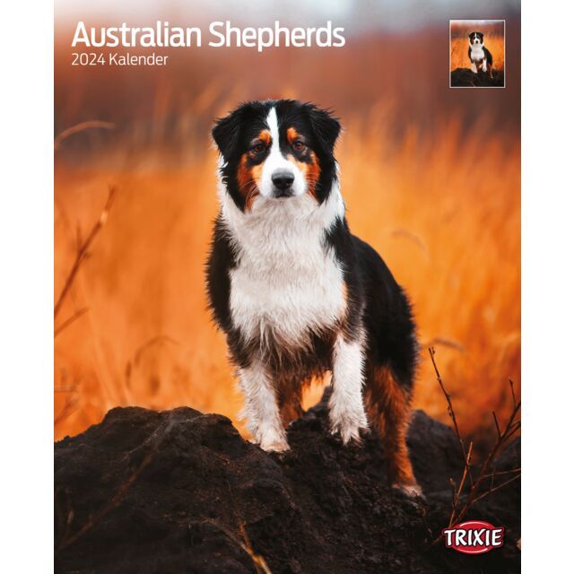  Kalender Australian Shephards 2025