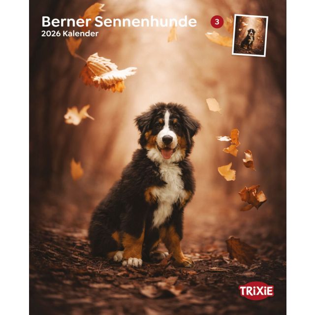  Kalender Berner Sennenhonden 2026