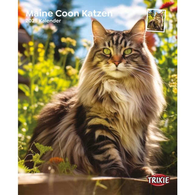 Kalender Maine Coon katten 2025