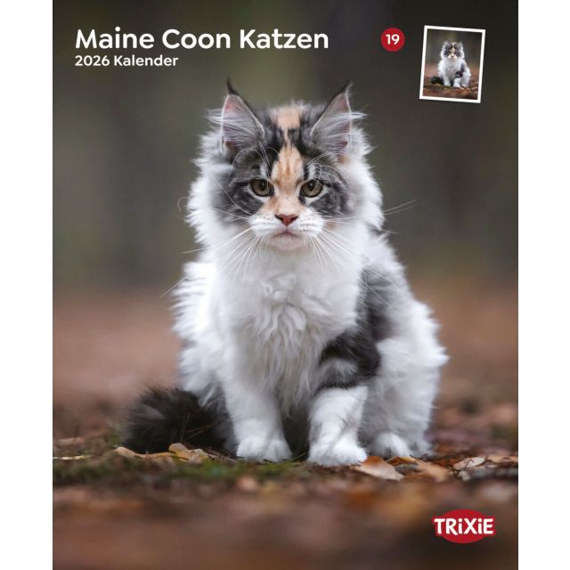 Kalender Maine Coon katten 2026