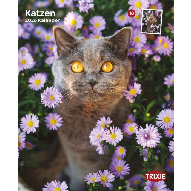 Kalender Katten 2026