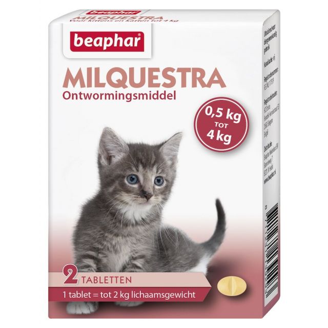 Beaphar Milquestra Kleine Kat /Kitten 0,5-4 kg - 2 Stuks   