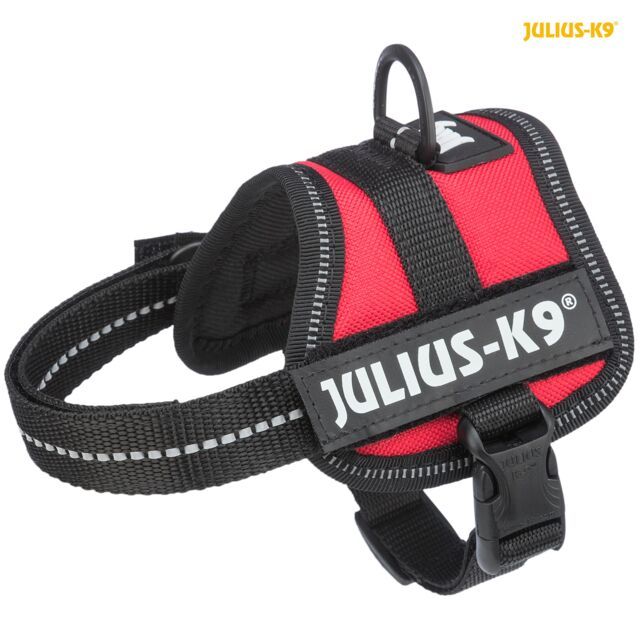 Julius K9 Powertuig XS/Mini-Mini   -40-53 cm /22 mm  Rood