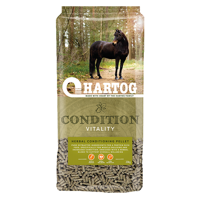 Hartog Condition -20 kg 