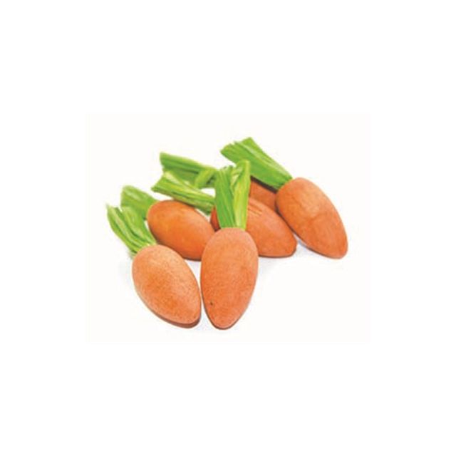 happy pet carrot nibblers knaaghout 8X3X3 CM 6 ST
