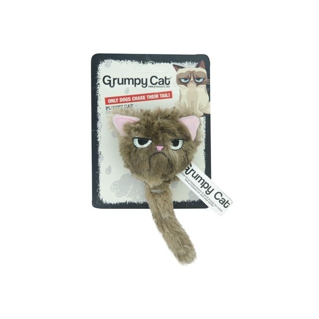 grumpy cat fluffy grumpy cat met catnip