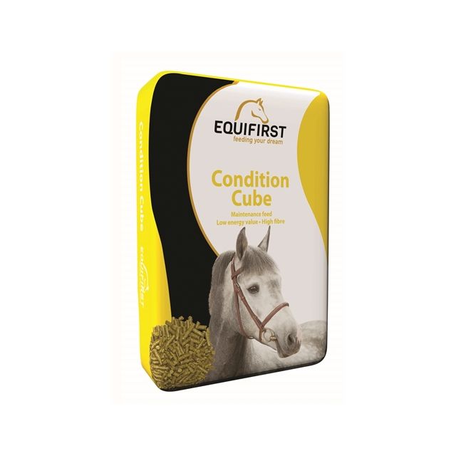 Equifirst Condition Cube -20 kg