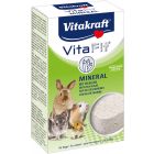 Vitakraft Knaagsteen Vita Mineral - 1 stuk