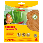 Sera Catappa Leaves S -14 cm