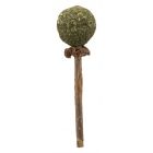 Trixie Matatabi Lolly Met Catnip -11 cm 