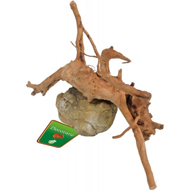 Boon Aqua Deco Spiderwood Met Rots  -10-20 cm 