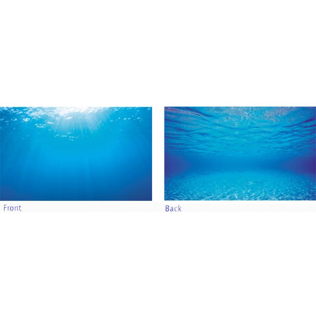 Juwel Achterwand Poster 2 Large -100x50 cm 
