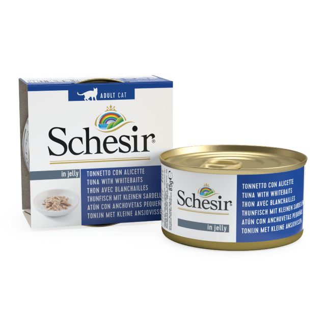 Schesir Kat Tonijn Ansjovis Gelei -85 gram