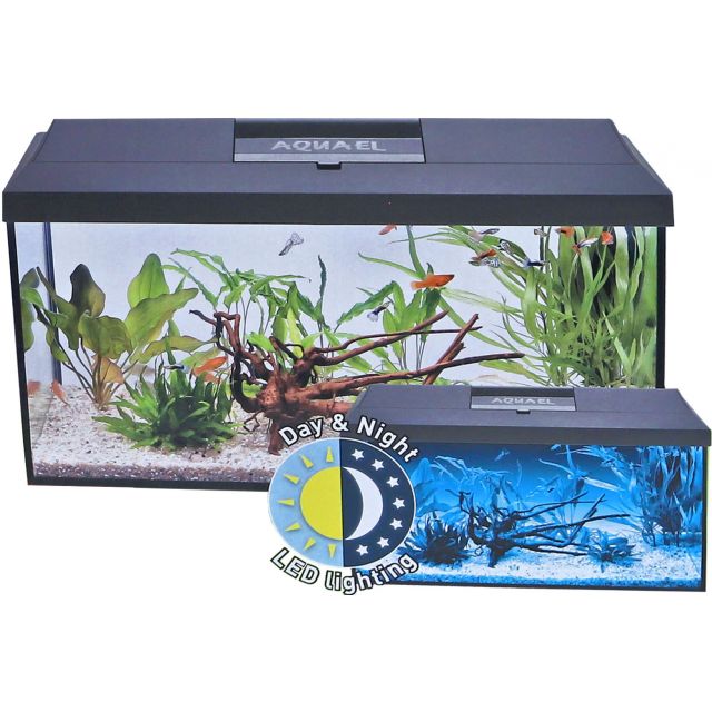 Aqualel Aquarium Leddy 40 Day & night Zwart -41x25x25 cm