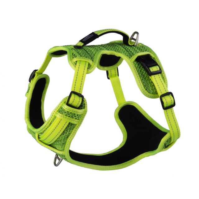 Rogz Utlity Explore Tuig  Large  Yellow - 20 mm /55-73 cm