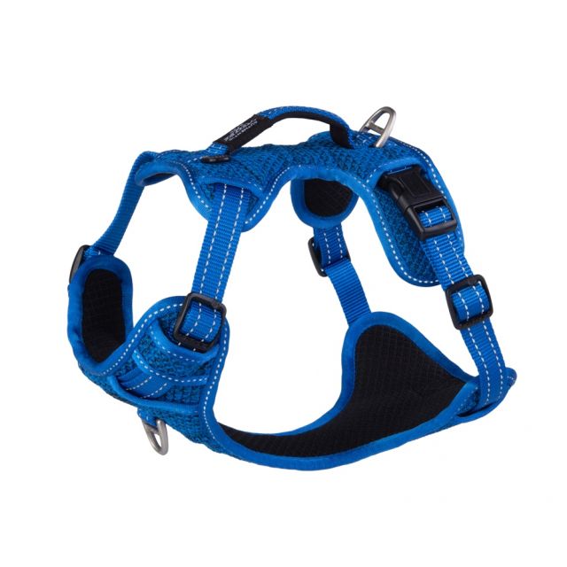 Rogz Utlity Explore Tuig  Medium  Blue - 20 mm /43-59 cm 