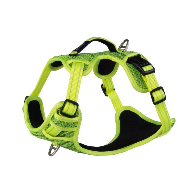 Rogz Utlity Explore Tuig  Medium  Yellow - 20 mm /43-59 cm 