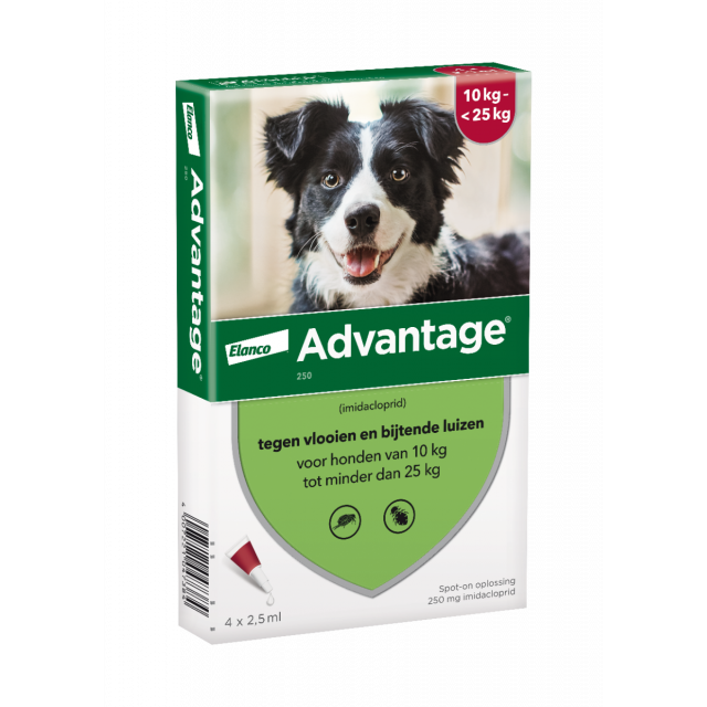 Advantage Hond 250 10 tot 25 kg - 4 Pipetten
