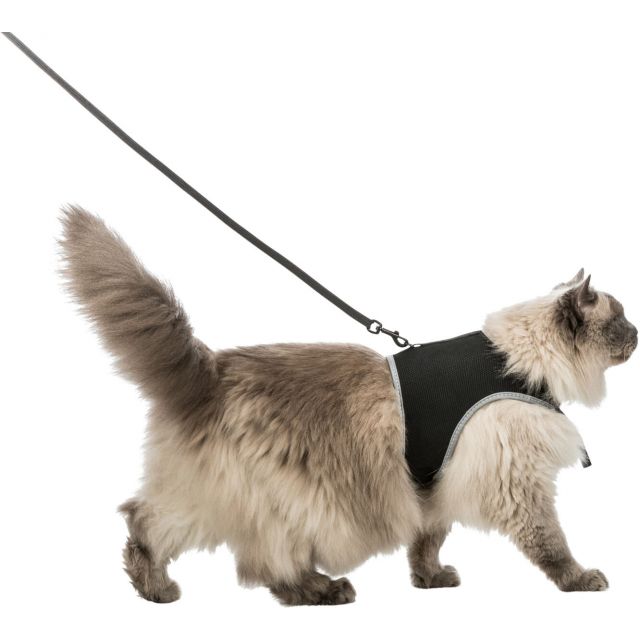 Trixie Softtuig kat Met Riem XXL -36-54 cm -120 cm / Zwart 