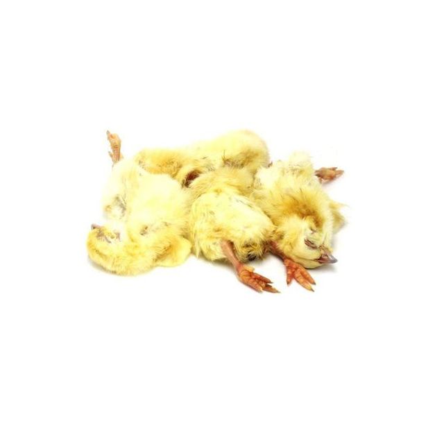 Barf Kuikens - 1 kg
