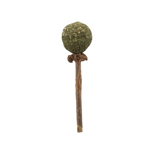 Trixie Matatabi Lolly Met Catnip -11 cm 